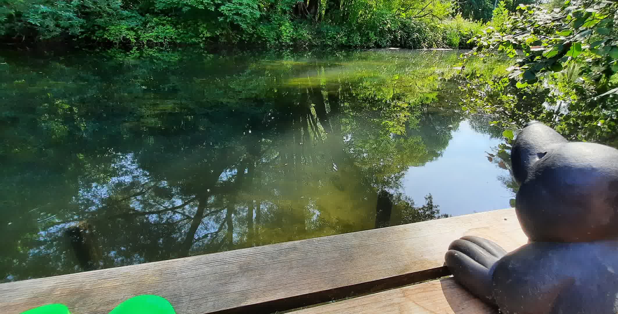 Kajak Foto